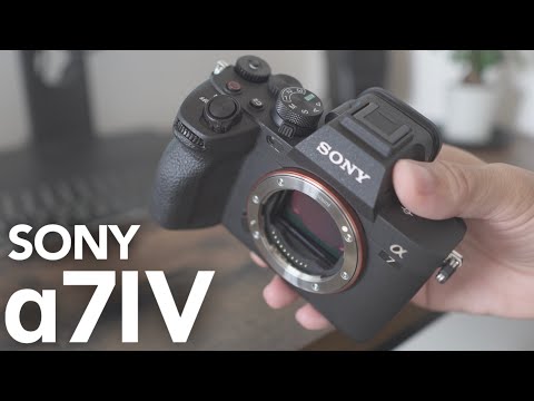 Video 6