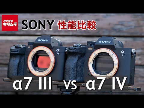 Video 7
