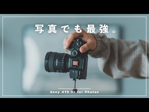 Video 6