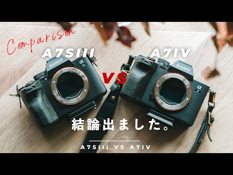 Video 8